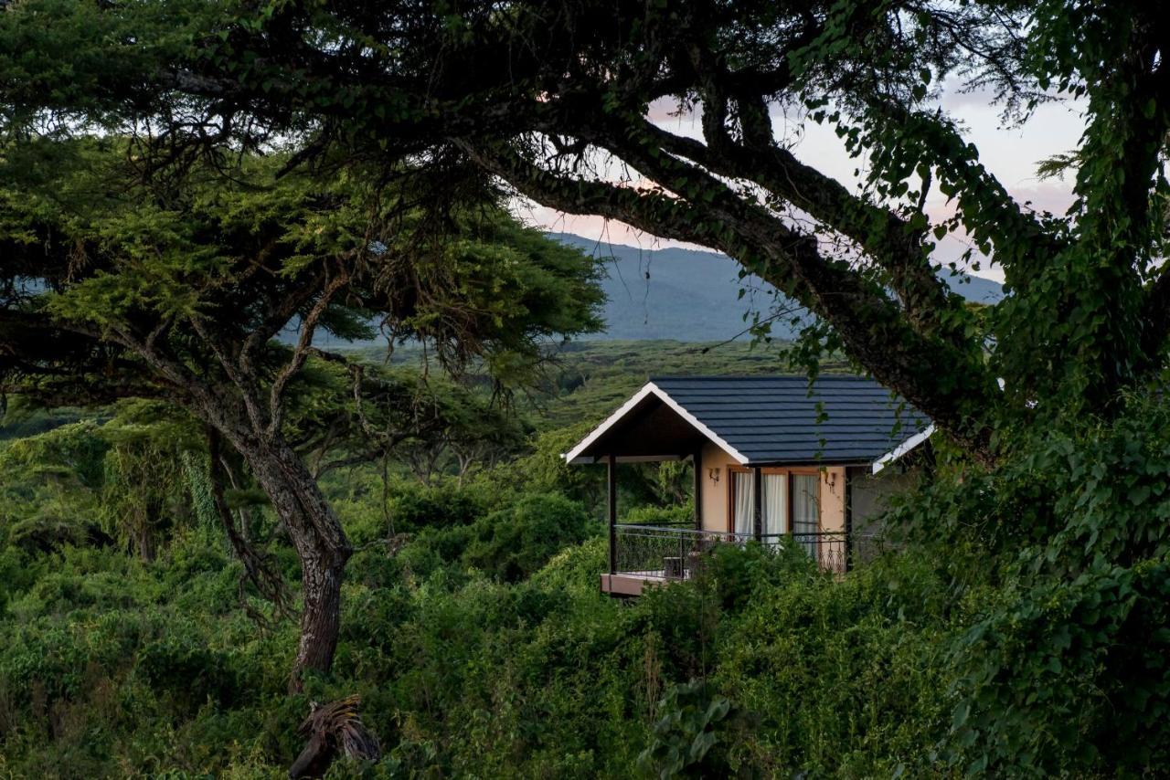 Hotel Lions Paw Ngorongoro Esterno foto