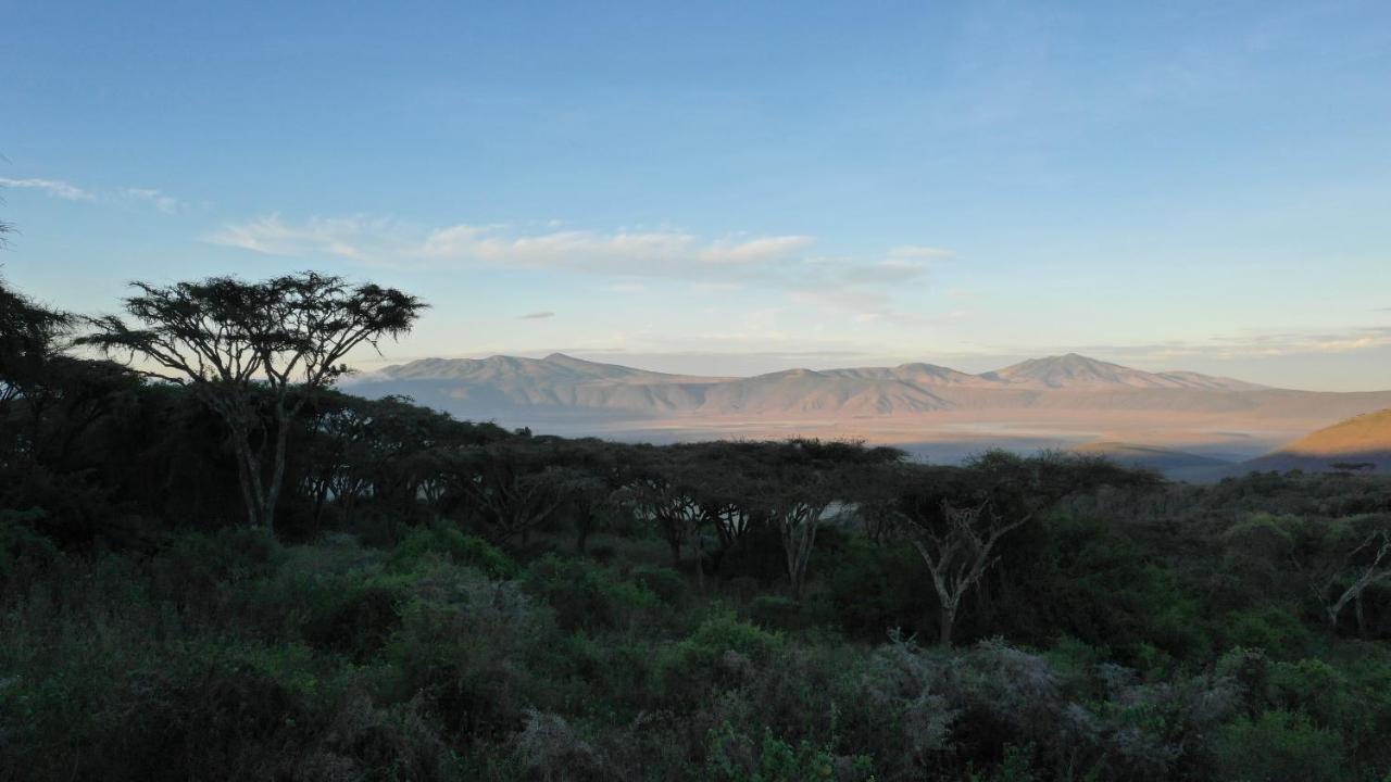 Hotel Lions Paw Ngorongoro Esterno foto