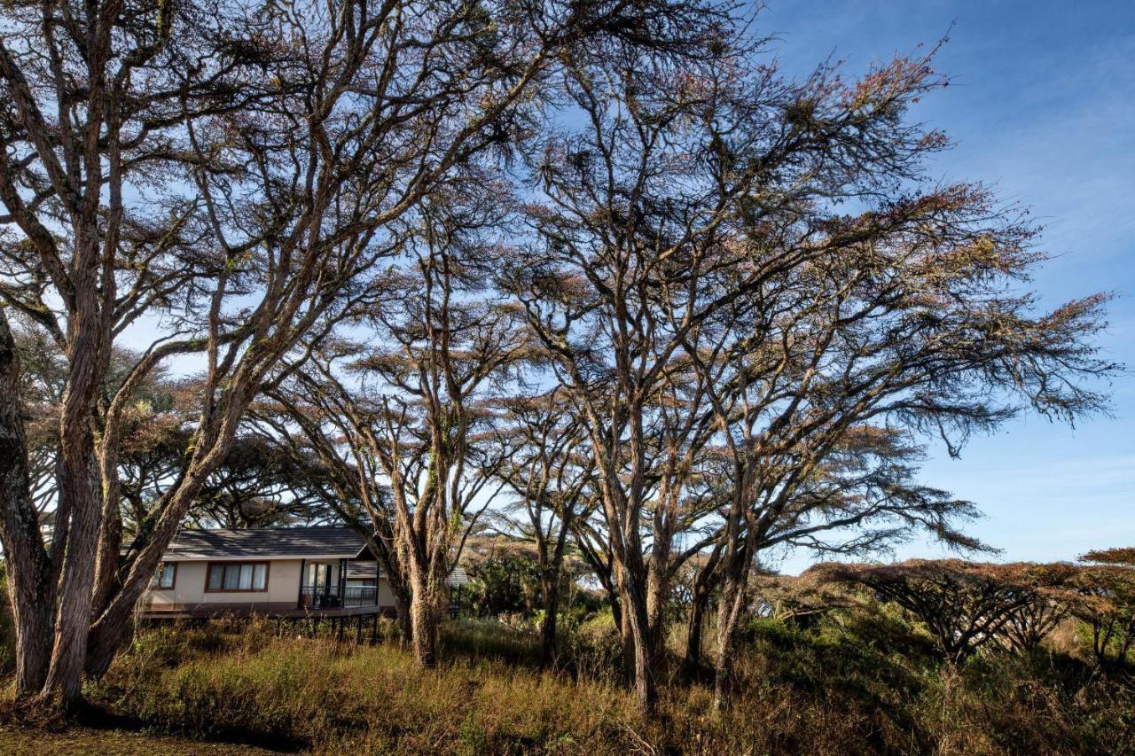 Hotel Lions Paw Ngorongoro Esterno foto